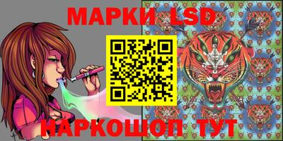 сатива Кинель