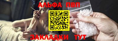 мет Кингисепп