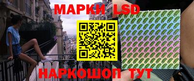 мет Кингисепп